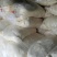 花生油渣玉米油渣香油渣大豆油渣芝麻渣，现货供应