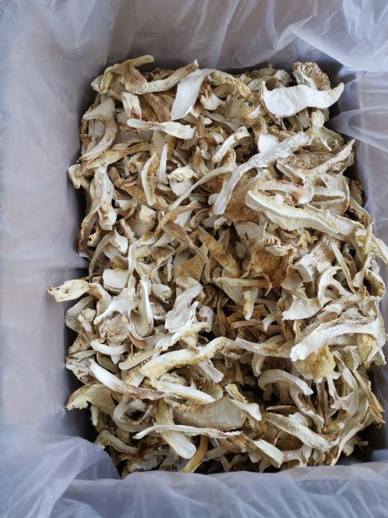 松茸干片松茸抽芯松茸