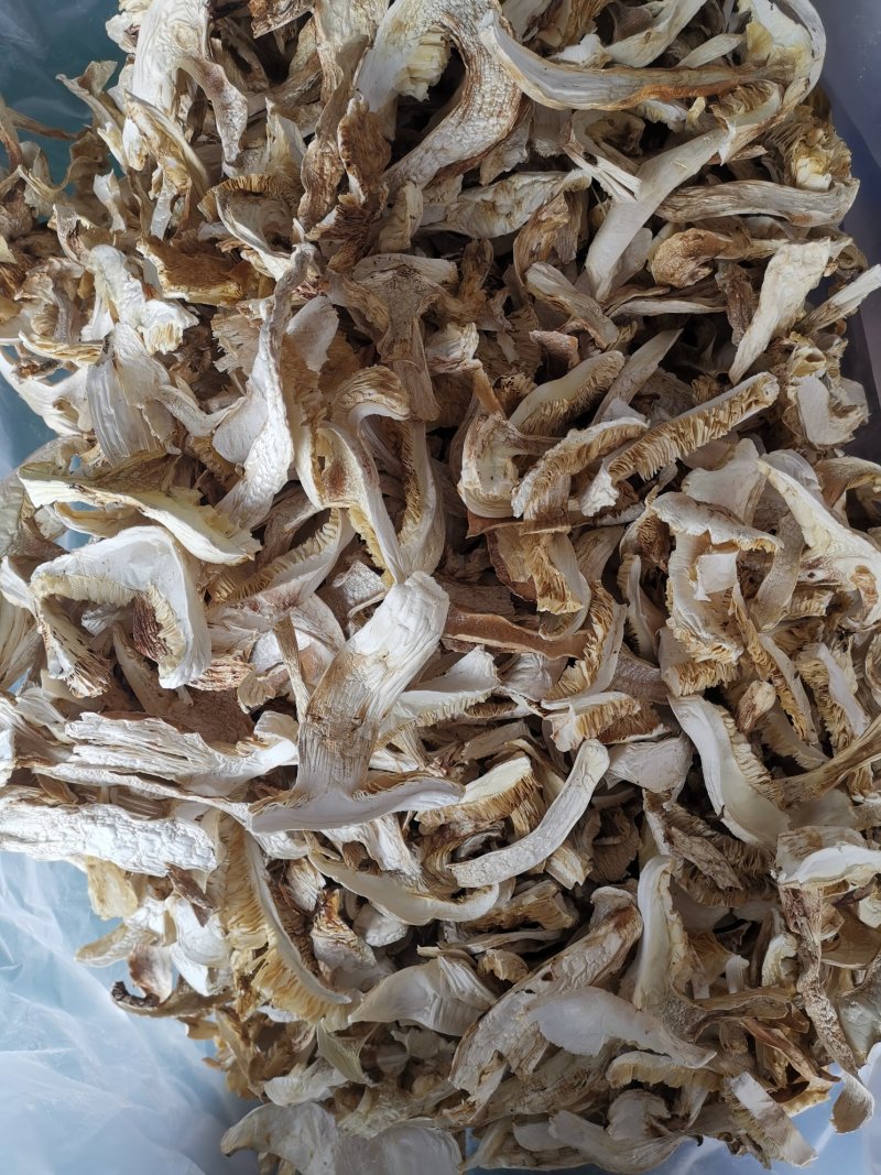 松茸干片松茸抽芯松茸