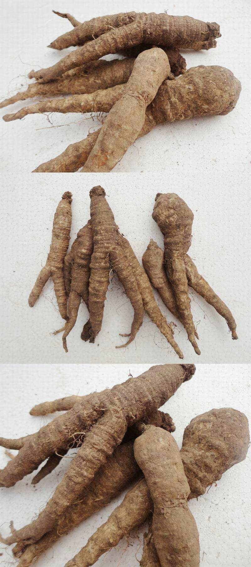 药材