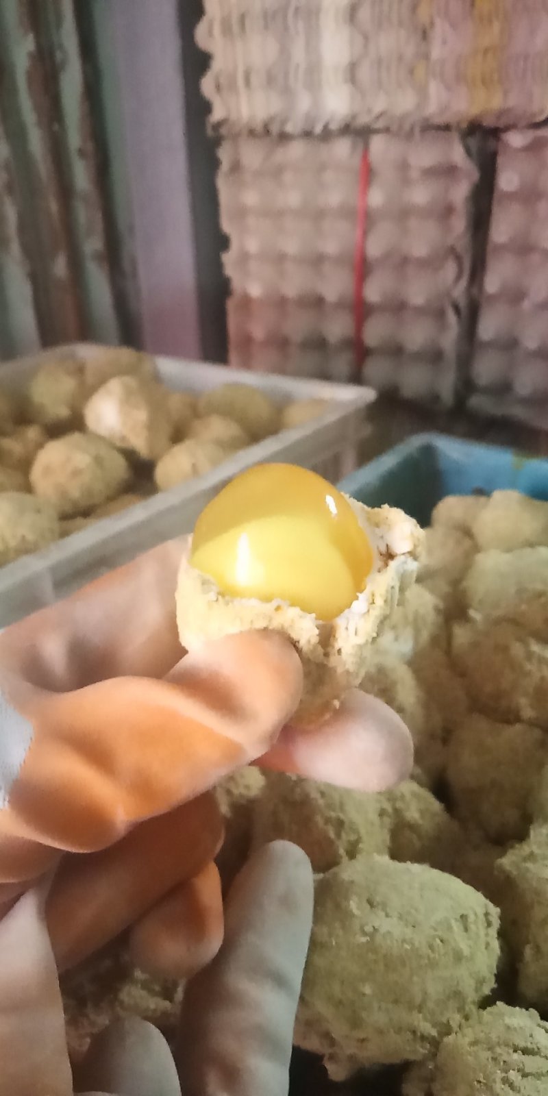 禽畜牧蛋肉河南五香变蛋