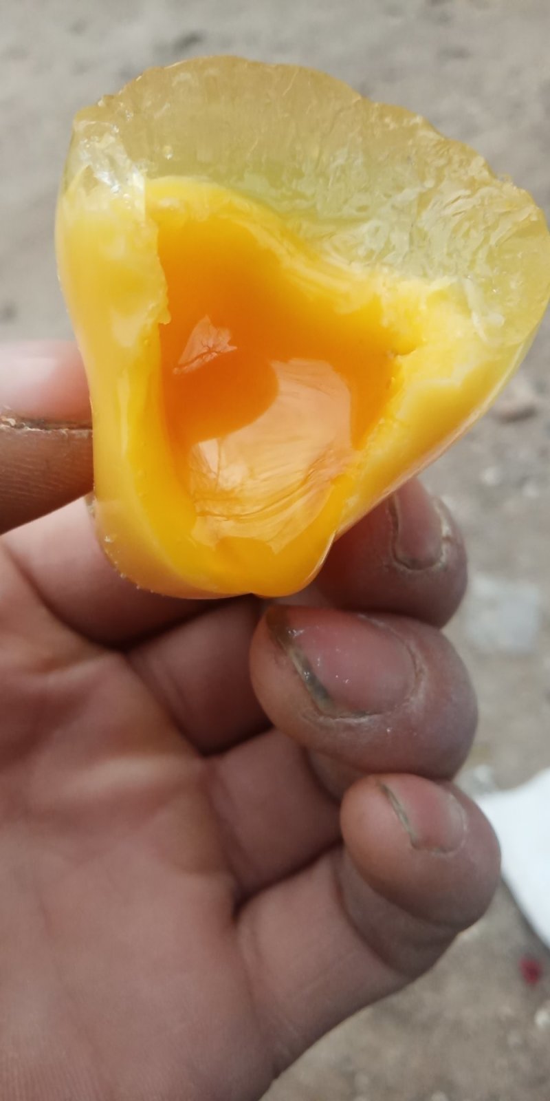 禽畜牧蛋肉河南五香变蛋