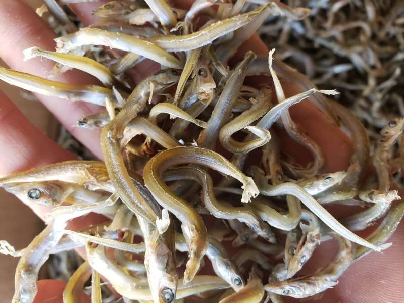 精品小条银针鱼干，干度好，不咸，食品级，价格美丽质量靠谱