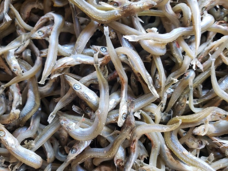 精品小条银针鱼干，干度好，不咸，食品级，价格美丽质量靠谱