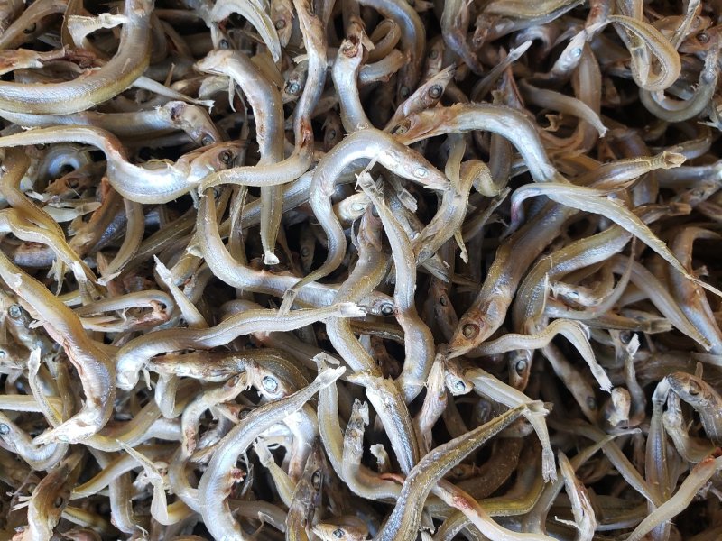 精品小条银针鱼干，干度好，不咸，食品级，价格美丽质量靠谱