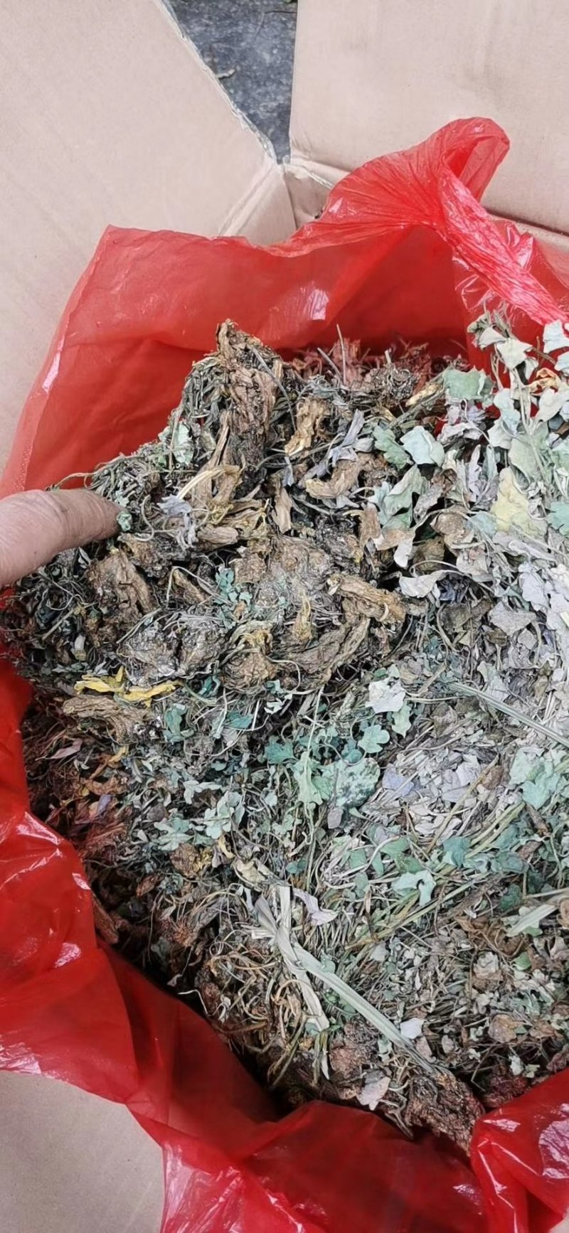 岩黄连500g新鲜干货无硫广西山里采摘散装