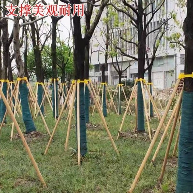 【热卖中】园林绿化树支撑杆，杉木杆，杨木杆，松木杆，常年供应