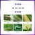 凯源祥凯强甲维盐5%甲胺基阿维菌素苯甲酸盐杀虫剂