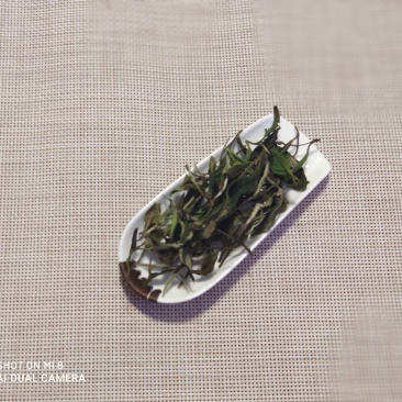 今年福鼎高山白牡丹饼