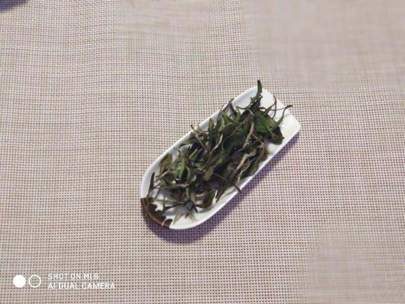 今年福鼎高山白牡丹饼