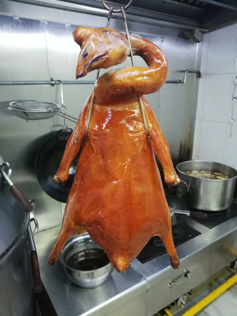 肉鹅广东正宗黑棕鹅光鹅棚鹅草鹅冰冻鹅