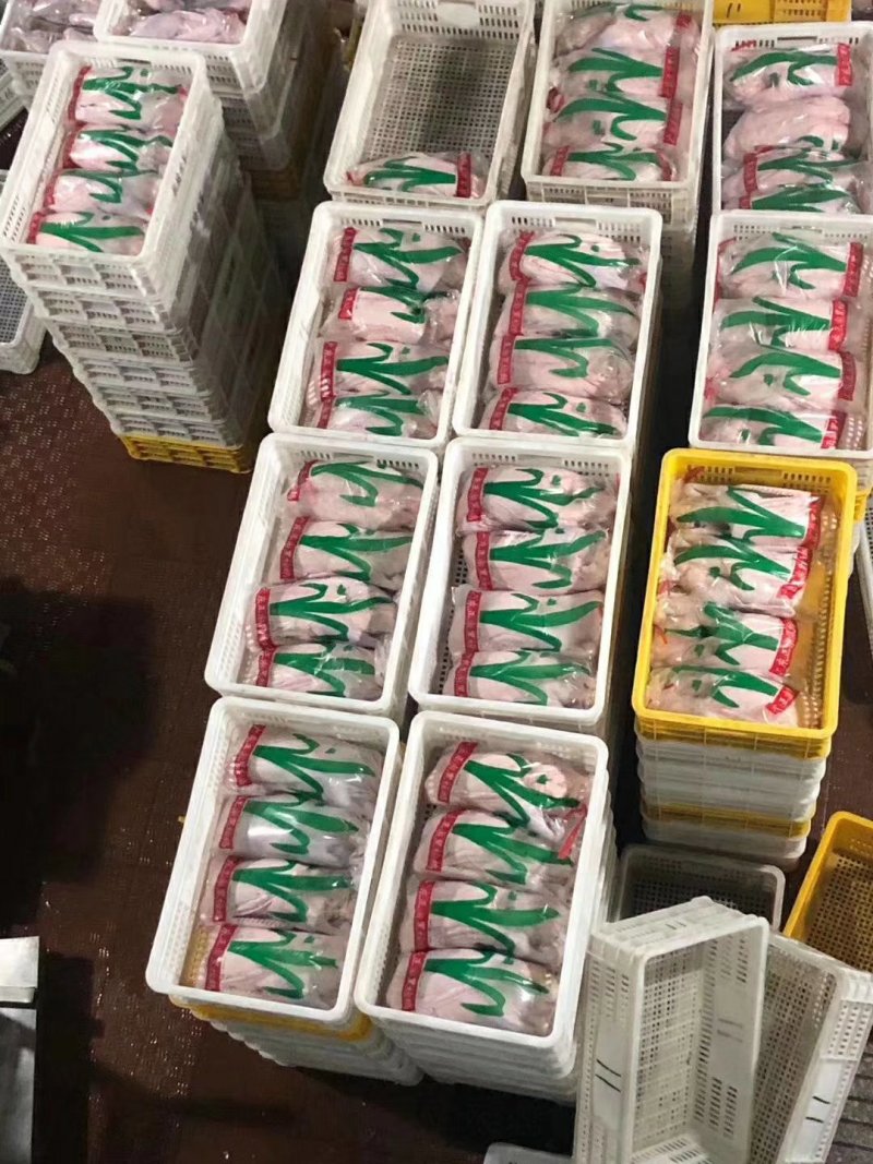 肉鹅广东正宗黑棕鹅光鹅棚鹅草鹅冰冻鹅