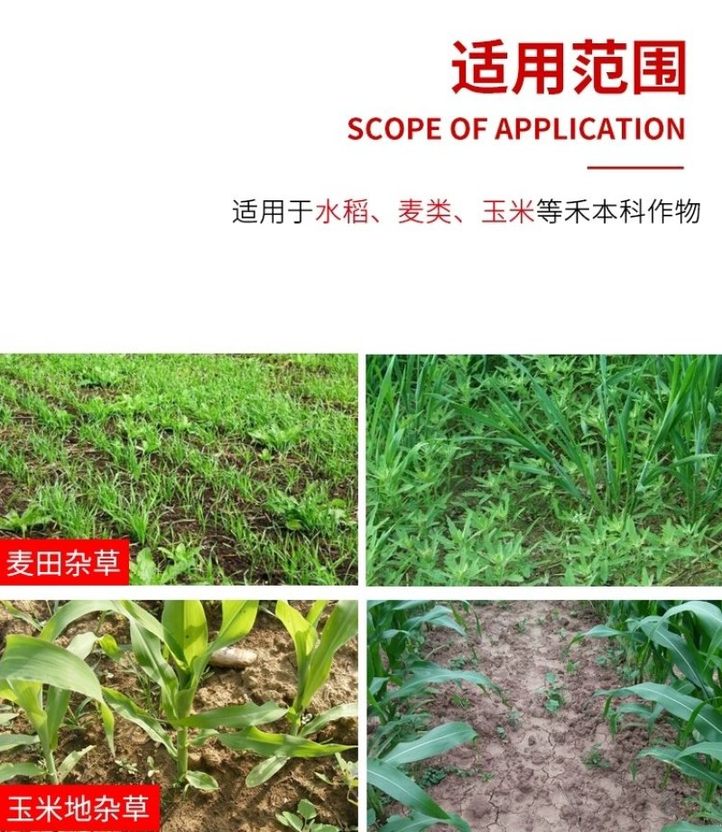 虎极2甲4氯二甲胺盐53%小麦水稻等莎草除草剂混草甘磷