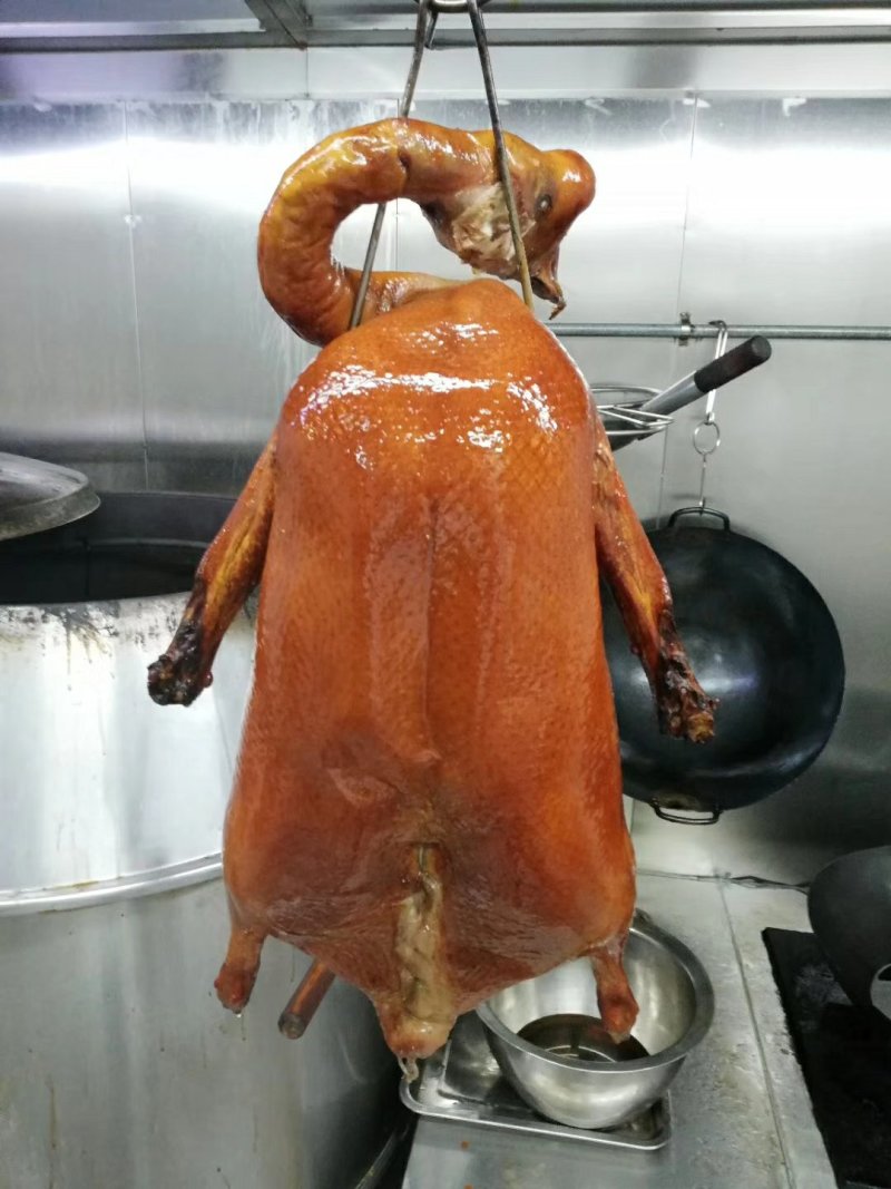 肉鹅广东清远黑棕鹅新鲜鹅冰鲜鹅冰冻鹅