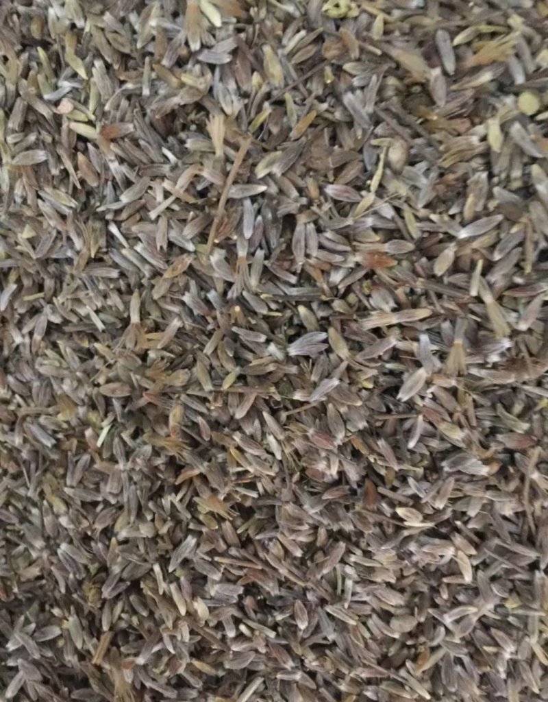 苍术种子北苍术朱砂点关苍术免费技术指导