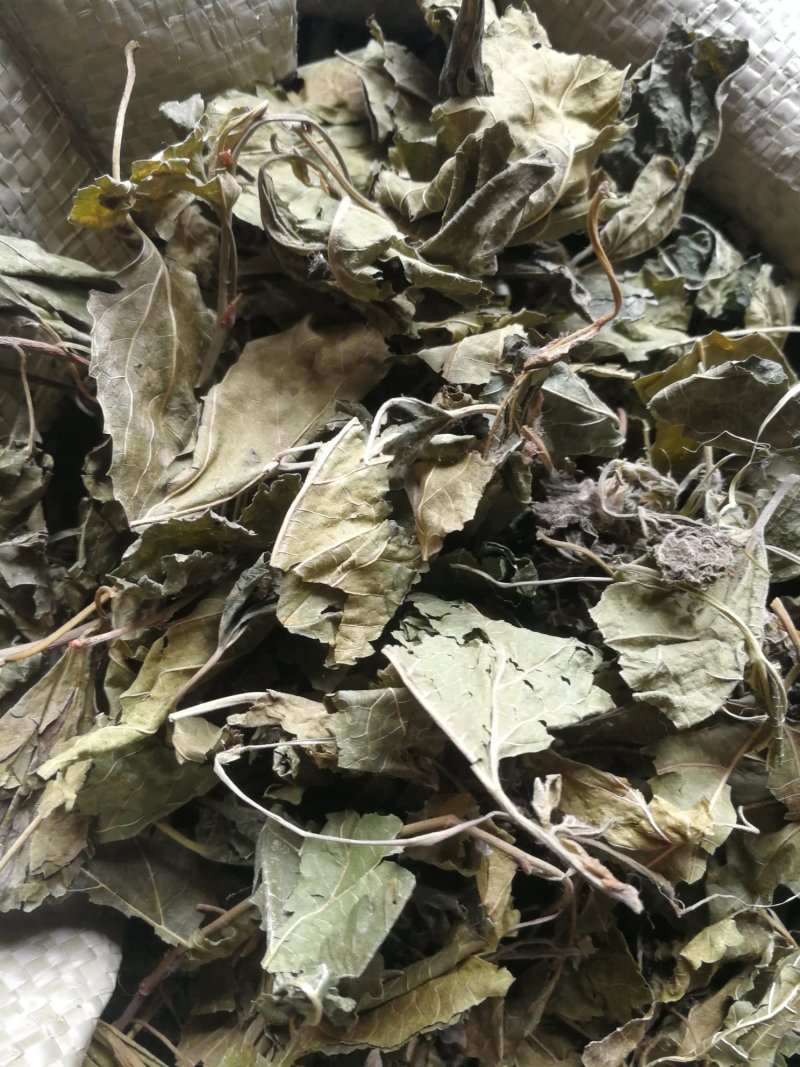 薄荷叶一斤包邮不要运费