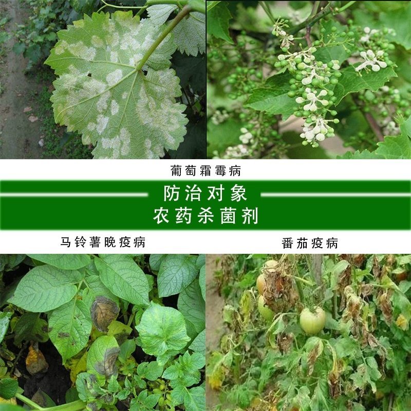 览博70%烯酰.霜脲氰霜霉疫病杀菌剂