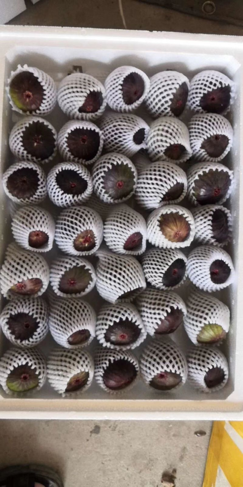 无花果