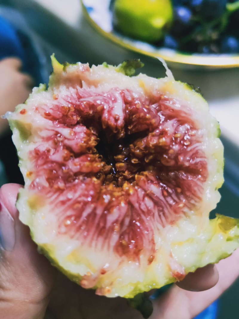 无花果