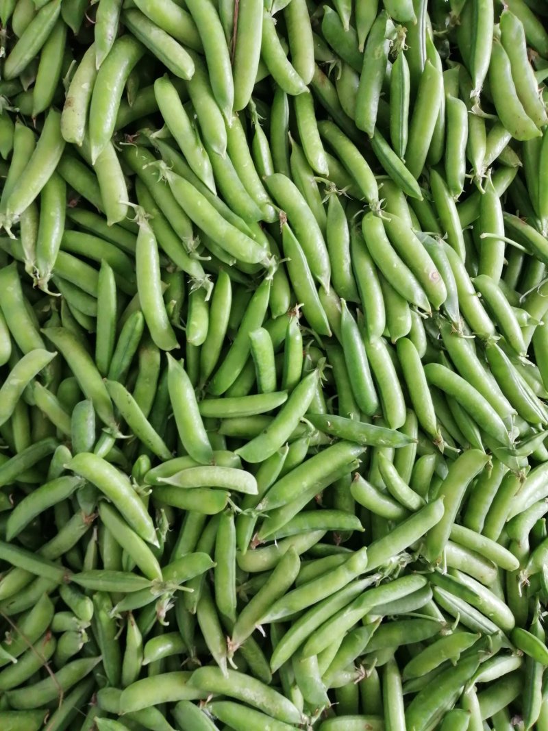 好豌豆角