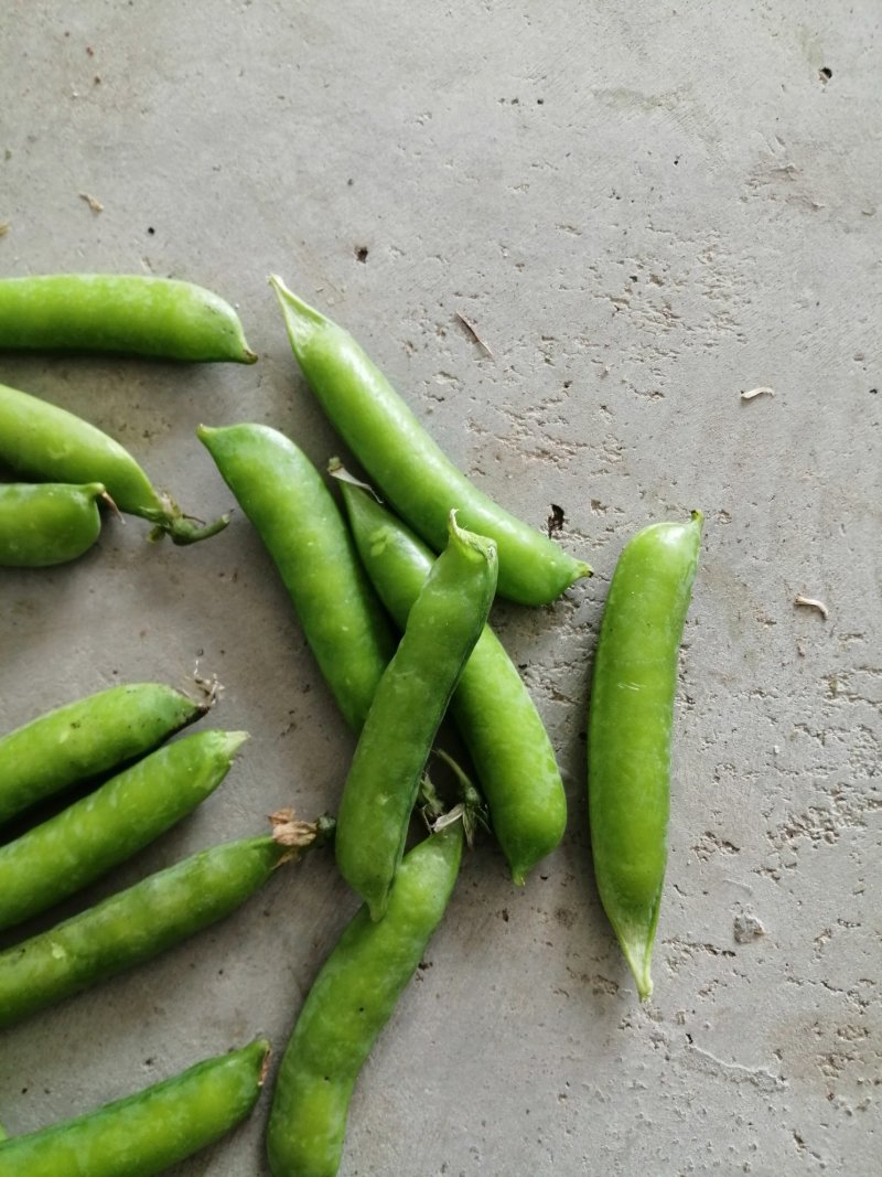 好豌豆角
