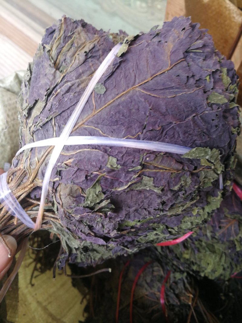 紫苏叶一斤包邮不要运费