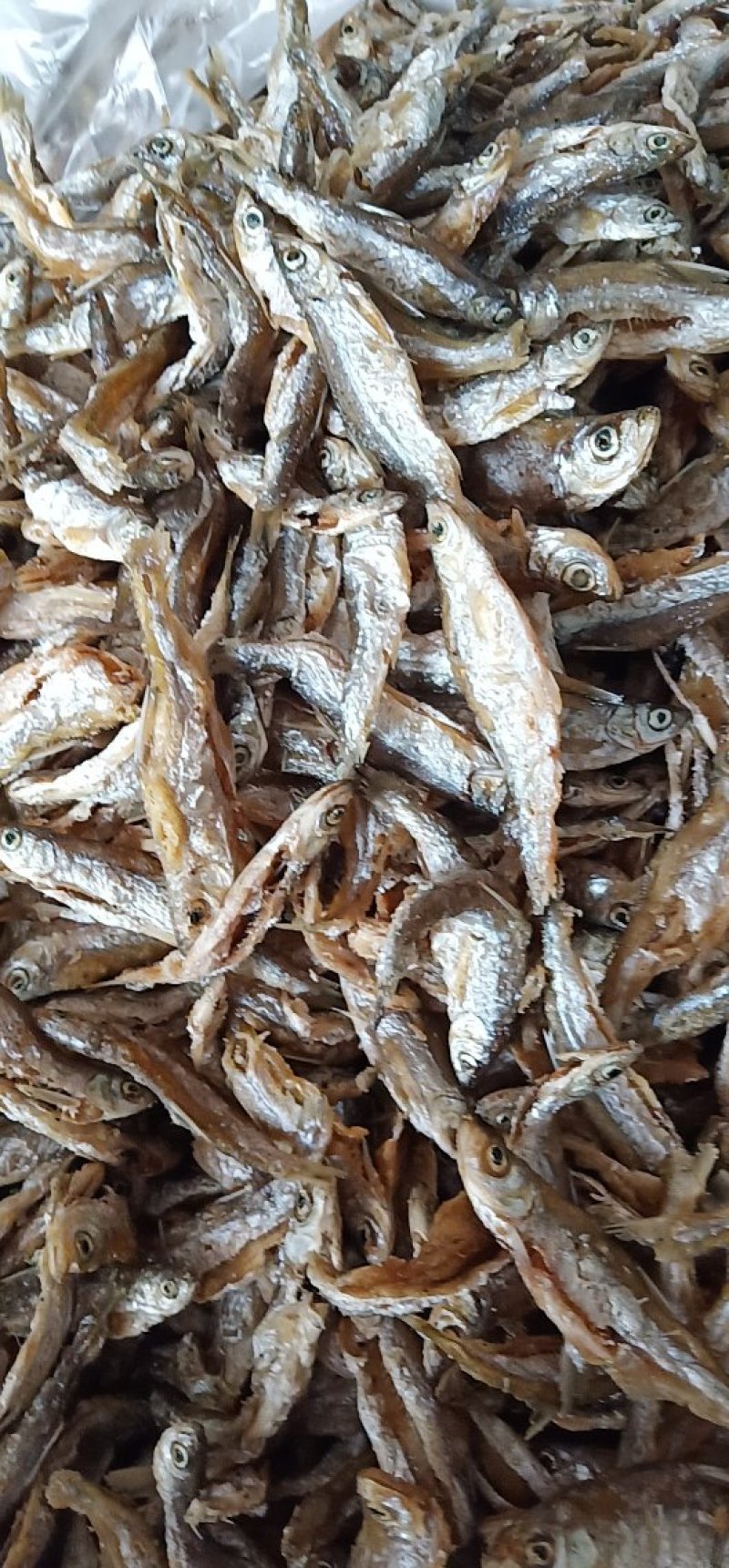 鱼干