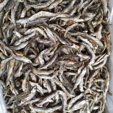 鱼干