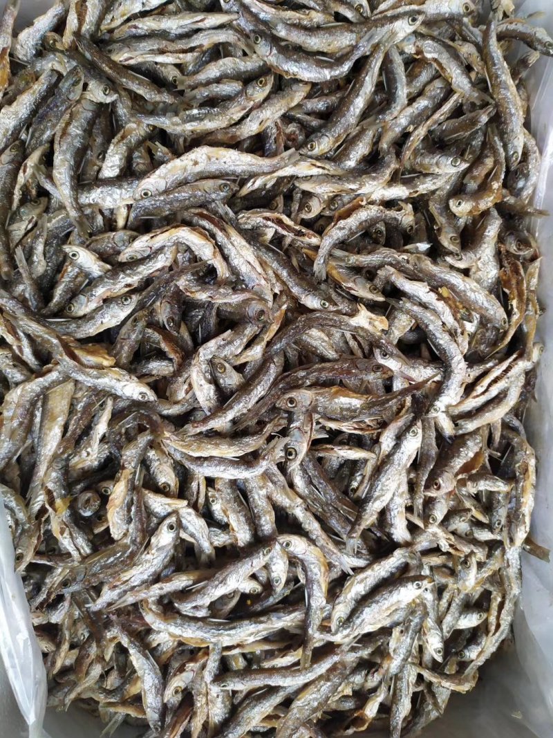 鱼干