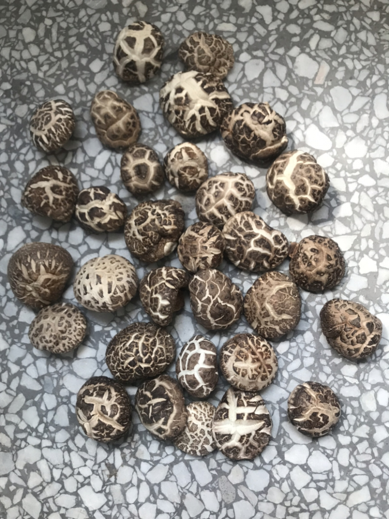 土特产香菇干菇花菇干货500g农家特级散装包邮天然绿色食