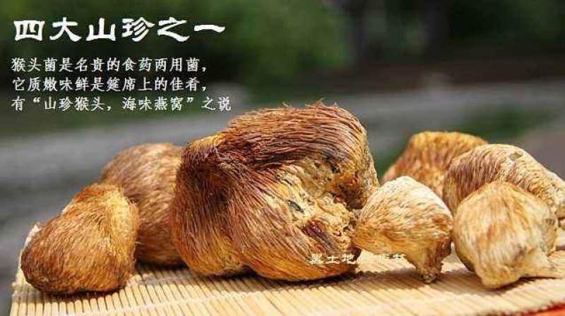 东北大兴安岭纯野生猴头菇干货野生菌干品食用菌干货