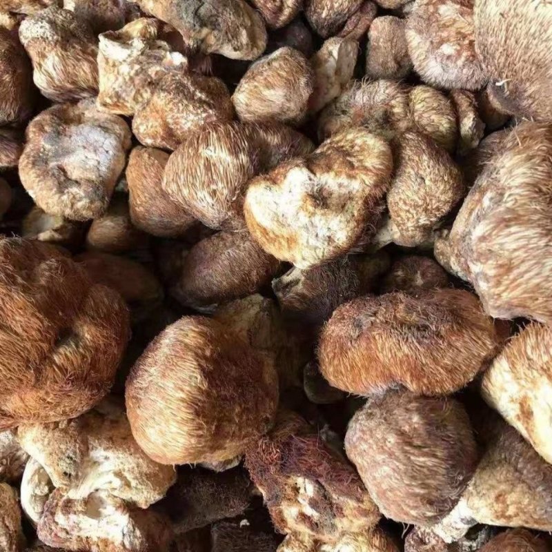 东北大兴安岭纯野生猴头菇干货野生菌干品食用菌干货