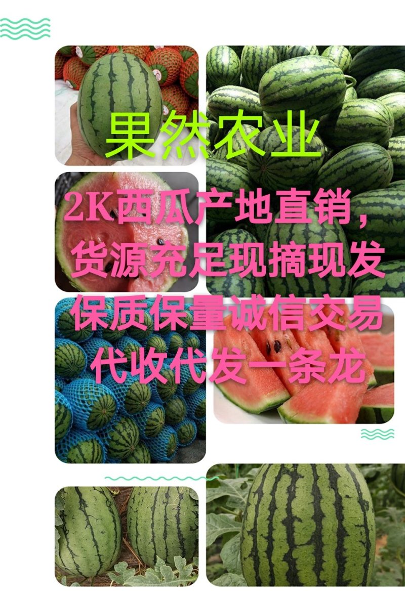 【推荐】小糖丸西瓜，山东2k西瓜，潍坊2K西瓜，诚信经营