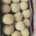 甜瓜