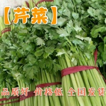 【精品】芹菜〔诚信经营品质保障〕代发全国