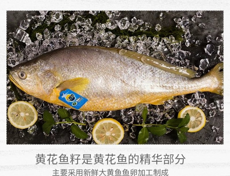 霞浦原产地黄花鱼鱼籽/大黄鱼鱼籽/盒装冰冻一盒一斤