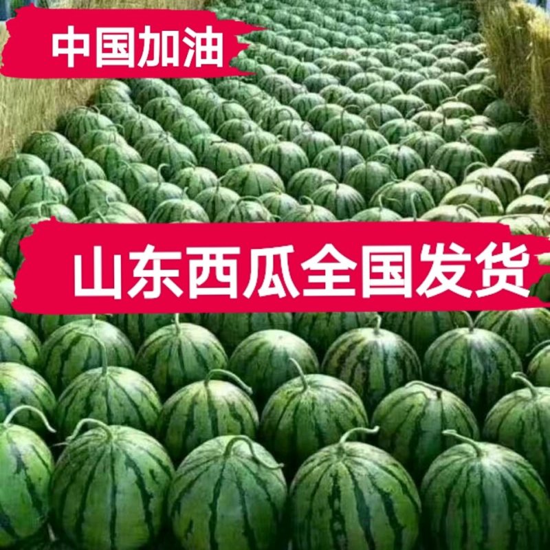 甜王西瓜，早春红玉，2K，墨童西瓜，大红瓤黑子，代发全国