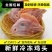 5斤装生鲜鸡头新鲜大鸡头冷冻鸡头5斤装大鸡头鸡脑烧