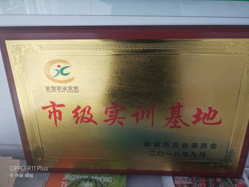 厂家直销穴盘。中药扦插盘。订做种规格穴盘草莓育苗穴盘。