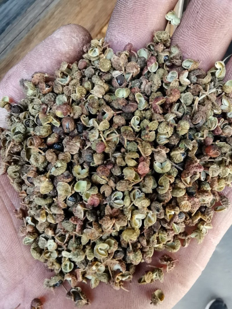 泡脚花椒