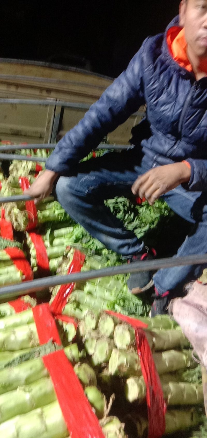 莴笋以大量上市，欢迎各大超市加工厂的老板可以下单了，大量