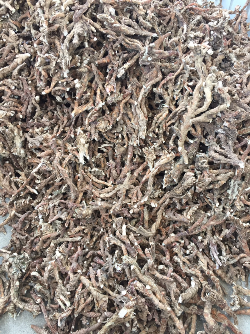 石菖蒲，无毛细净货，粉性足