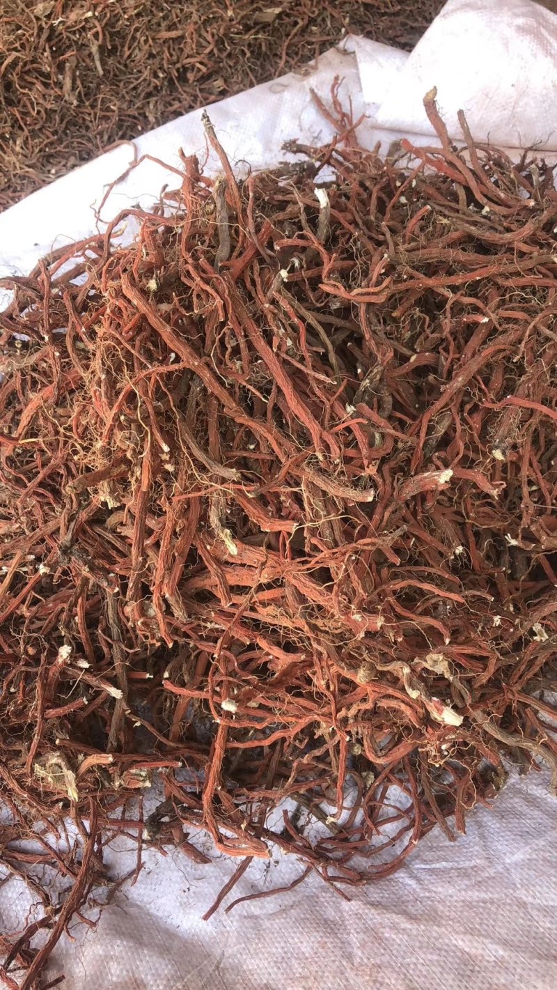 山东丹参精品(包含量)常年大量供应山东道地各种中药材