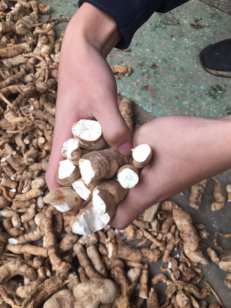 野生粉防己，无硫烘干药性好含量足，常年供应保质保量
