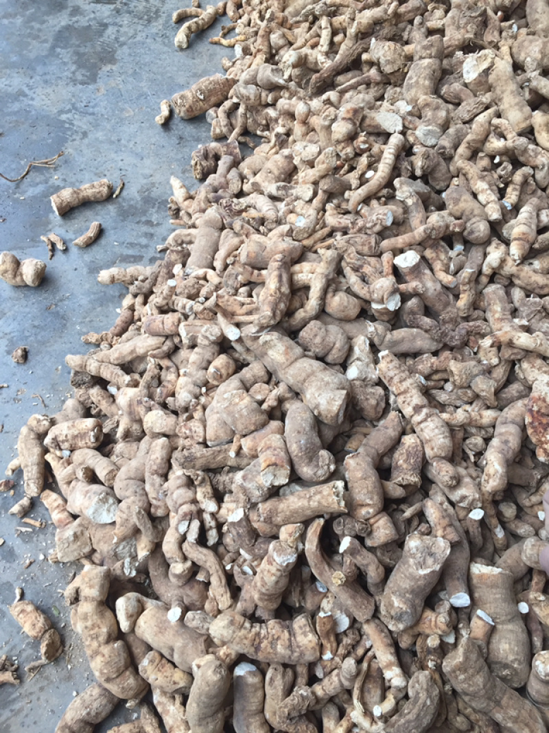 野生粉防己，无硫烘干药性好含量足，常年供应保质保量