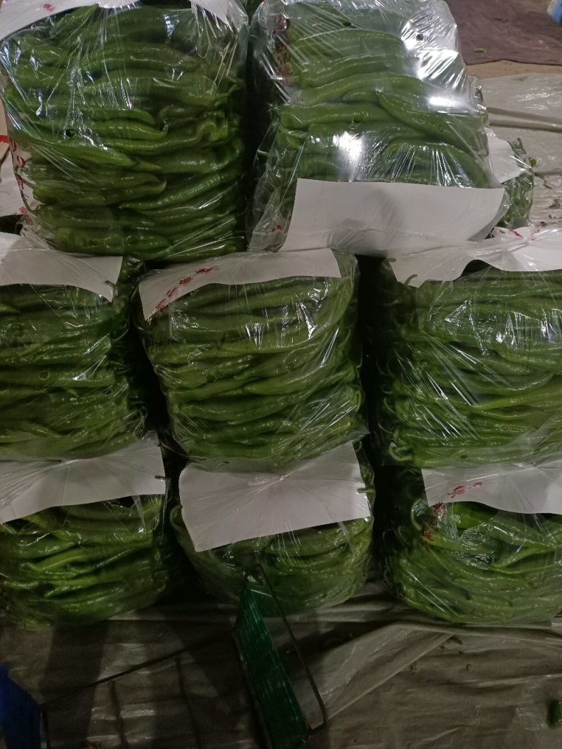 尖椒螺丝椒线椒大椒麻椒杭椒