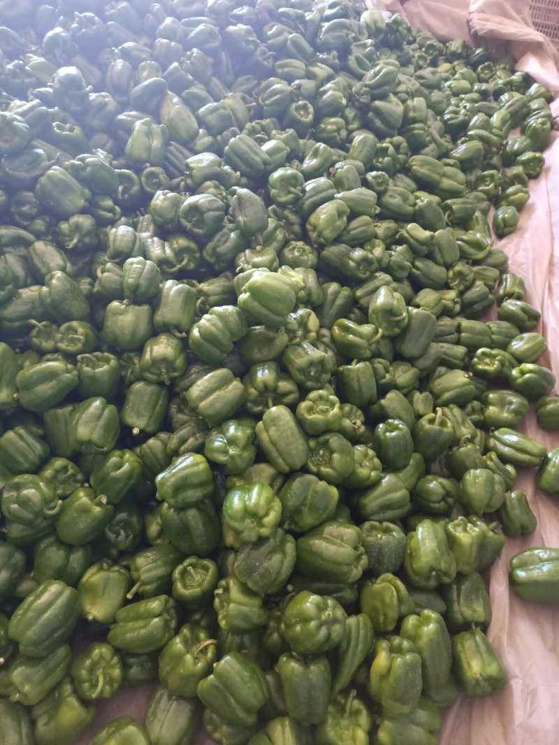 麻辣椒麻椒