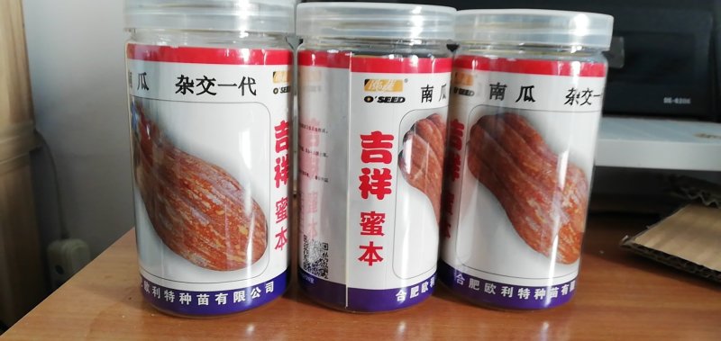 蜜本南瓜种子，金韩、金茂，优质高产，厂价直销，货到确款。