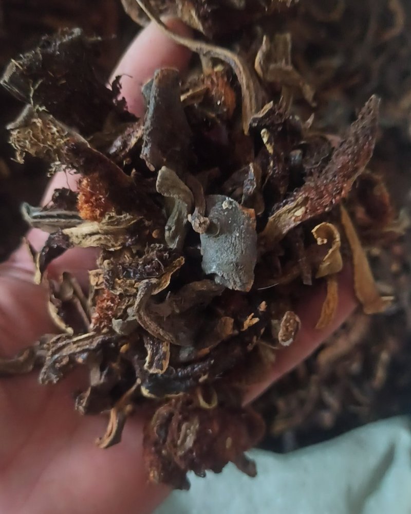 骨碎补石碎补中药材骨碎朴肉碎补石岩姜猴姜毛姜申姜