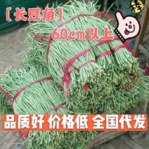 精品长豆角〔60厘米以上〕新鲜上市商超品质全国代发